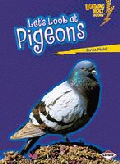 LET'S LOOK AT PIGEONS