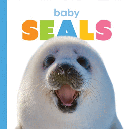 BABY SEALS