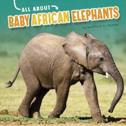 BABY AFRICAN ELEPHANTS