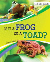 IS IT A FROG OR A TOAD?