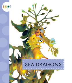 SEA DRAGONS