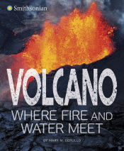 VOLCANO: WHERE FIRE AND WATER MEET