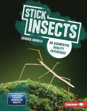 STICK INSECTS