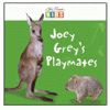 JOEY GREY'S PLAYMATES
