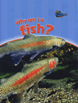 WHY AM I A FISH?