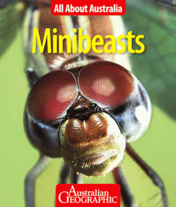 MINIBEASTS