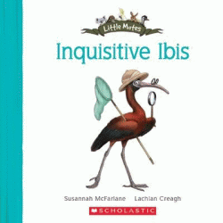 INQUISITIVE IBIS