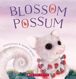 BLOSSOM POSSUM THE SKY IS FALLING DOWN-UNDER