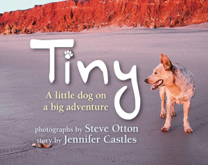 TINY A LITTLE DOG ON A BIG ADVENTURE