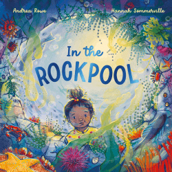 IN THE ROCKPOOL BOARD BOOK