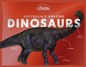 AUSTRALIA'S AMAZING DINOSAURS