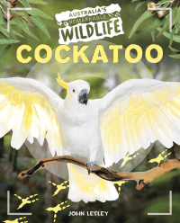 COCKATOO