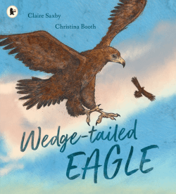 WEDGE-TAILED EAGLE