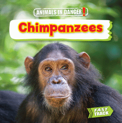 CHIMPANZEES