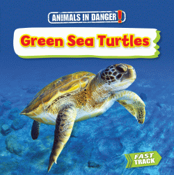 GREEN SEA TURTLES