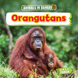 ORANGUTANS