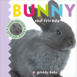 BUNNY AND FRIENDS BOARD BOOK