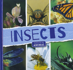 INSECTS