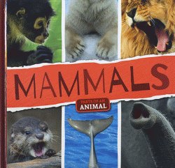 MAMMALS