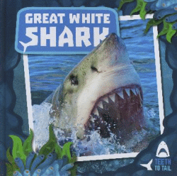 GREAT WHITE SHARK