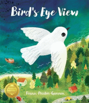 BIRD'S EYE VIEW, A