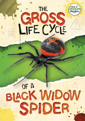 GROSS LIFE CYCLE OF A BLACK WIDOW SPIDER, THE
