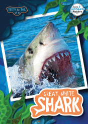 TEETH TO TAIL OF A GREAT WHITE SHARK