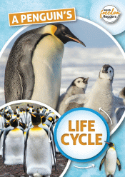 PENGUIN'S LIFE CYCLE, A