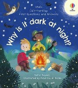 WHY IS IT DARK AT NIGHT? BOARD BOOK