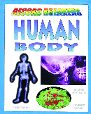 HUMAN BODY