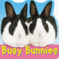 BUSY BUNNIES BOARD BOOK
