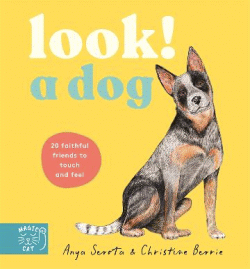 LOOK! A DOG BOARD BOOK