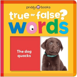 TRUE OR FALSE WORDS BOARD BOOK