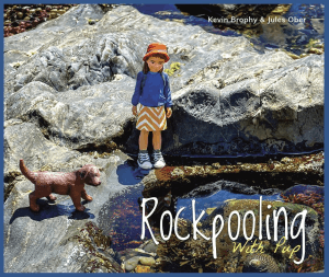 ROCKPOOLING WITH PUP