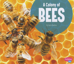 COLONY OF BEES, A