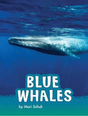 BLUE WHALES