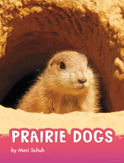PRAIRIE DOGS